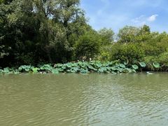 -西溪国家湿地公园