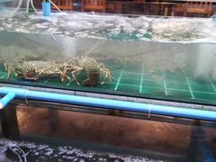 -拉威海鲜市场