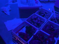 -纯K(打浦桥店)