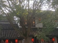 -黎里古镇