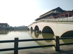 -大湾区中央湿地公园