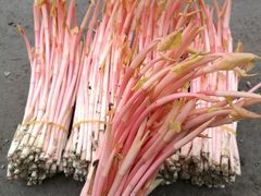 -浙江大学医学院附属第二医院(解放路院区)