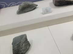 -辽宁古生物博物馆