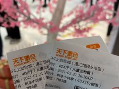 -SFC上影影城(港汇永华IMAX激光店)