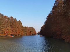 -上海海湾国家森林公园