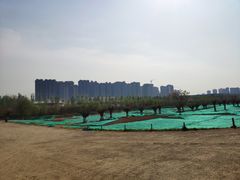 -汉长安城未央宫国家考古遗址公园