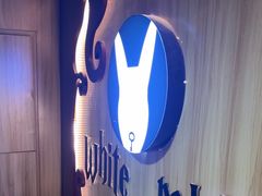 -白兔子密室(长寿路店)