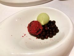 -蝶舍·MAISON PAPILLON