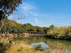 -沙家浜风景区