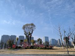 -金沙湖公园