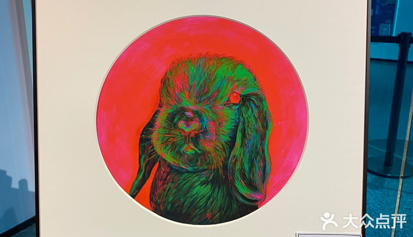阿雅个展！白夜神话！西安美术馆五一太给力啦！