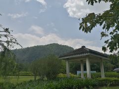 -南沙蒲洲花园