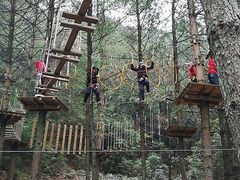 -梦幻奥陶纪景区