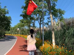 -上海长兴岛郊野公园