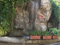 -九龙公园