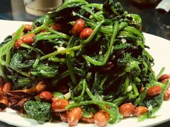 老醋菠菜-老长春肉馆(隆礼路店)