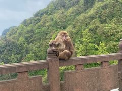 -峨眉山风景名胜区