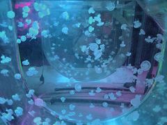 -常州海昌海洋探索馆
