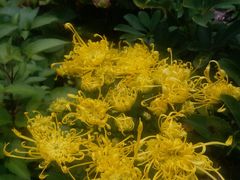 -济南方特东方神画