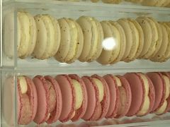 -St蛋糕王国(亨特店)