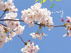 -龙美术馆(西岸馆)