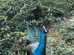 -苏州环秀晓筑养生度假村