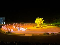 -鼎盛王朝康熙大典实景演出