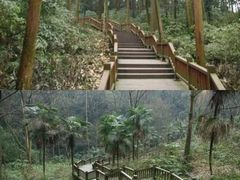 -凤栖山
