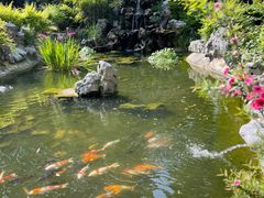 -上海延安饭店