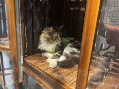 -BD健身(市北CBD店)