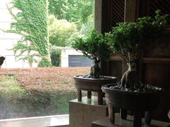 -湖滨28中餐厅·西湖宴·杭州君悦酒店