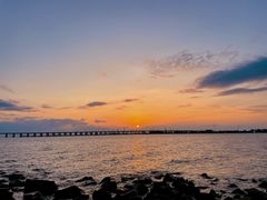 -宝安西湾红树林湿地公园