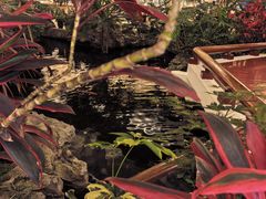 -广州白天鹅宾馆