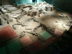 -洛阳周王城天子驾六博物馆