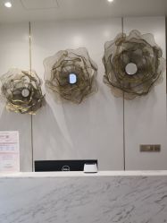 -YESIDO椰岛造型