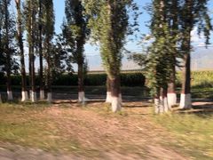 -新疆那拉提国家旅游度假区