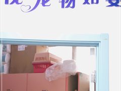 -全心全意连锁动物医院·微创中心·内科急重症·心脏专科(丰管路店)