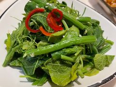 丝瓜苗-火齐潮汕砂锅粥(五道口店)