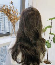 -潘多拉Hairsalon