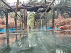 -石燕湖生态旅游景区