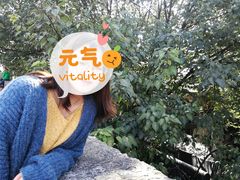 -文昌阁