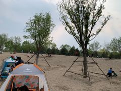 -东郊湿地公园