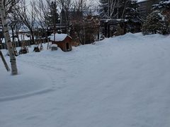 -富田农场