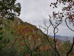 -北京鹫峰国家森林公园