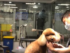 -宠物家(双井店)