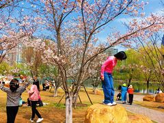 -西北湖绿化广场