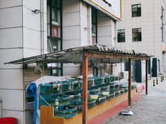 -京秀缘蒸汽海鲜农家菜大馅蒸饺