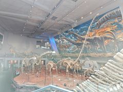 -重庆自然博物馆(新馆)