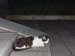 -晓港公园