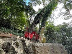 -七仙岭温泉国家森林公园